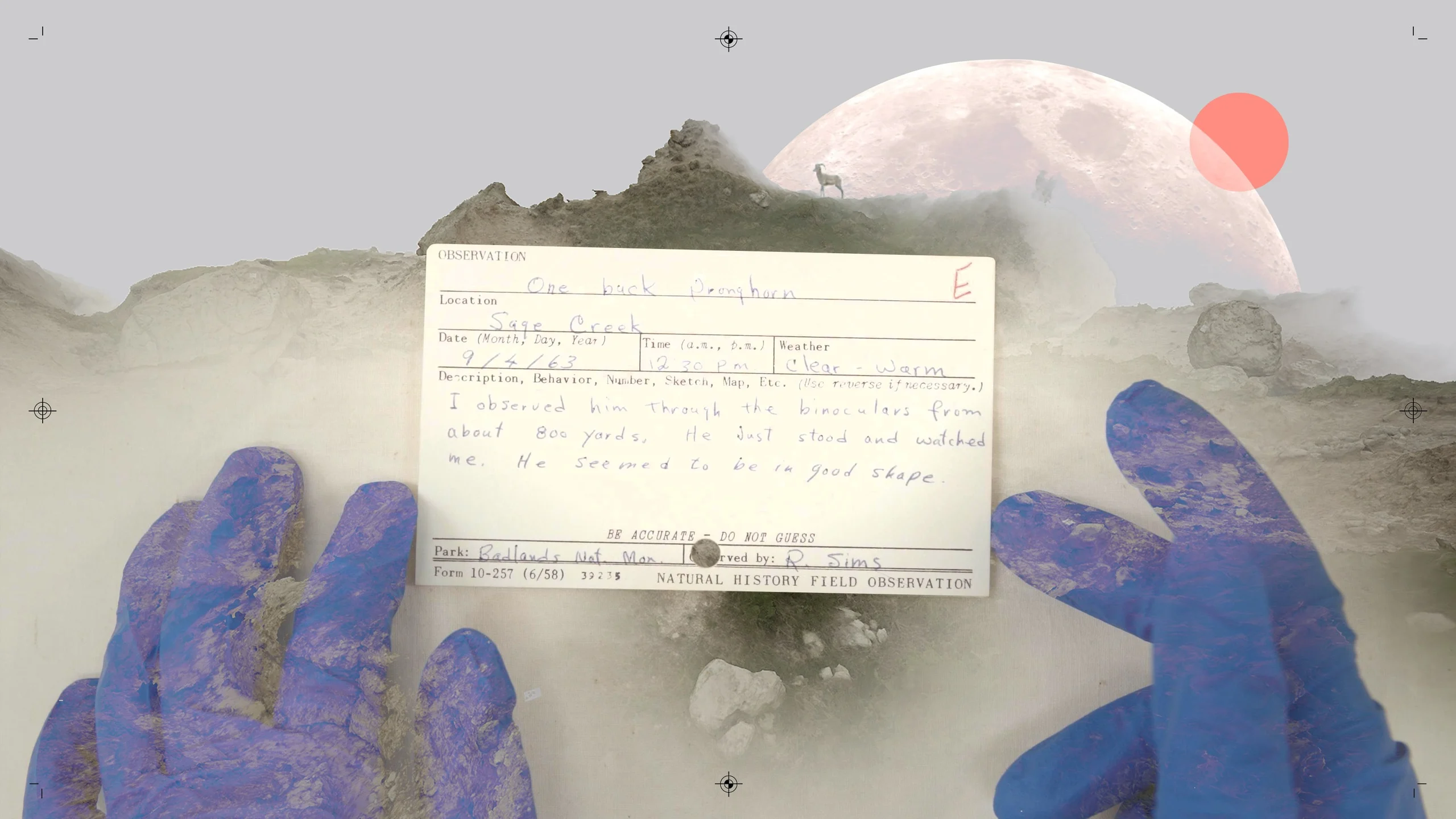 Blue-gloved hands hold a natural-history field card over a pale speculative landscape with rocky terrain and a large moon.